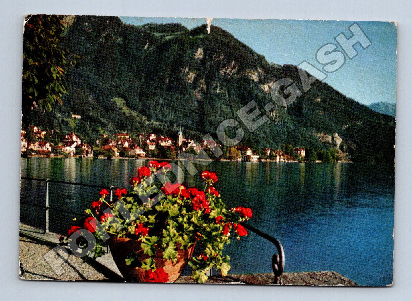 Pohlednice Švýcarsko Vitznau, Vierwaldstättersee cca 1960 (M37789)