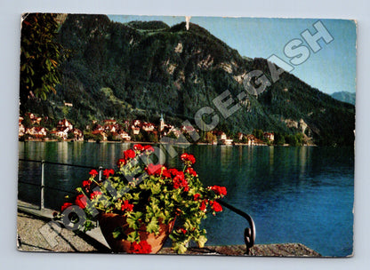 Pohlednice Švýcarsko Vitznau, Vierwaldstättersee cca 1960 (M37789)