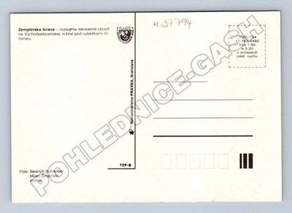 Pohlednice Slovensko Zemplínska Šírava kempování (M37794)