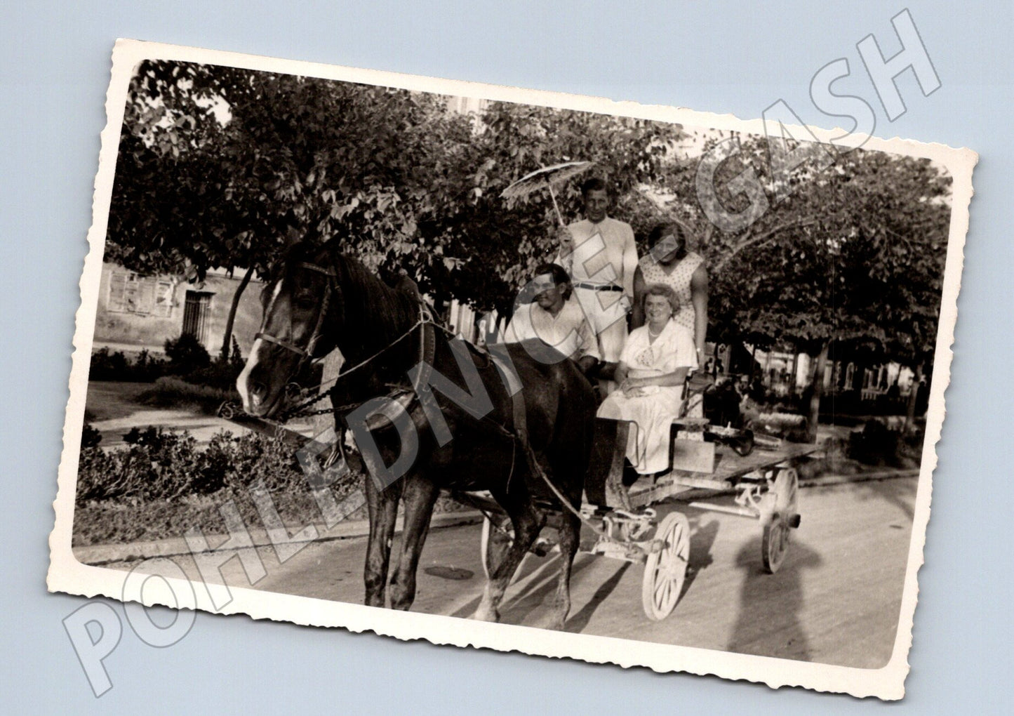 Pohlednice koňský povoz s lidmi (M3781)