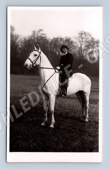 Pohlednice jezdec na bílém koni (M3782)