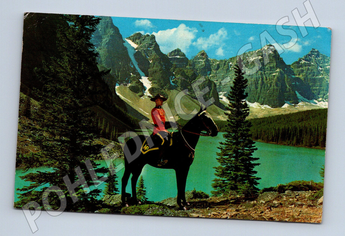 Pohlednice Kanada RCMP koně hory (M3784)