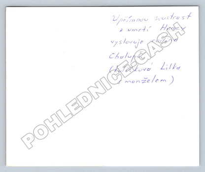Pohlednice Upřímnou soustrast brána stromy (M37863)