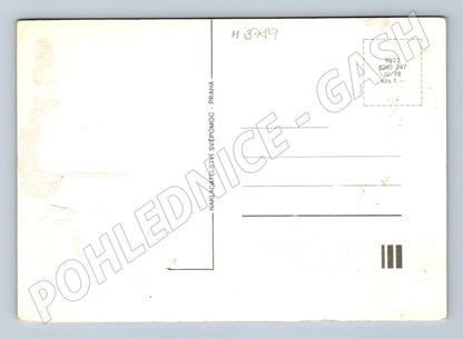 Pohlednice dvě zrzavá koťata retro (M3789)