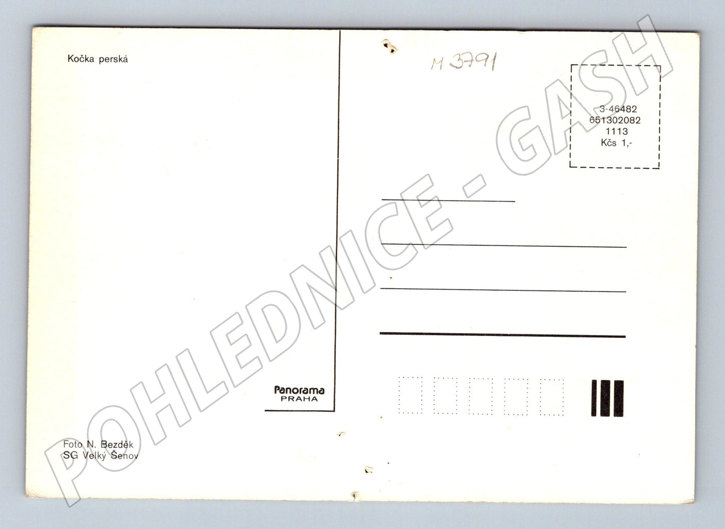 Pohlednice perská kočka Panorama (M3791)