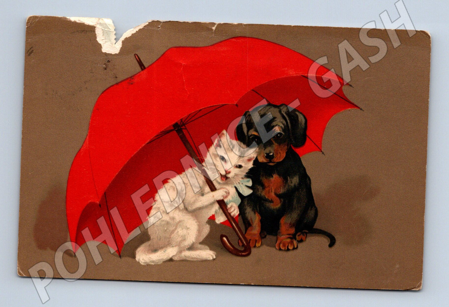 Pohlednice kočka a pes pod deštníkem (M3792)