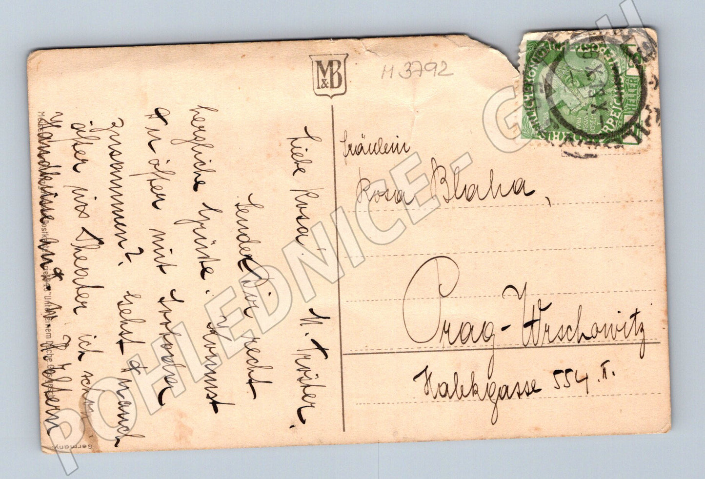 Pohlednice kočka a pes pod deštníkem (M3792)