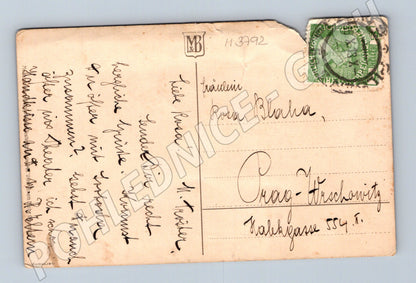 Pohlednice kočka a pes pod deštníkem (M3792)