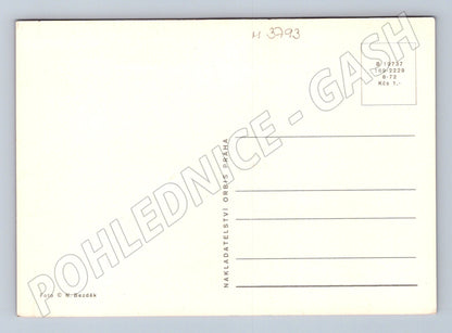 Pohlednice tři černá koťata Orbis (M3793)