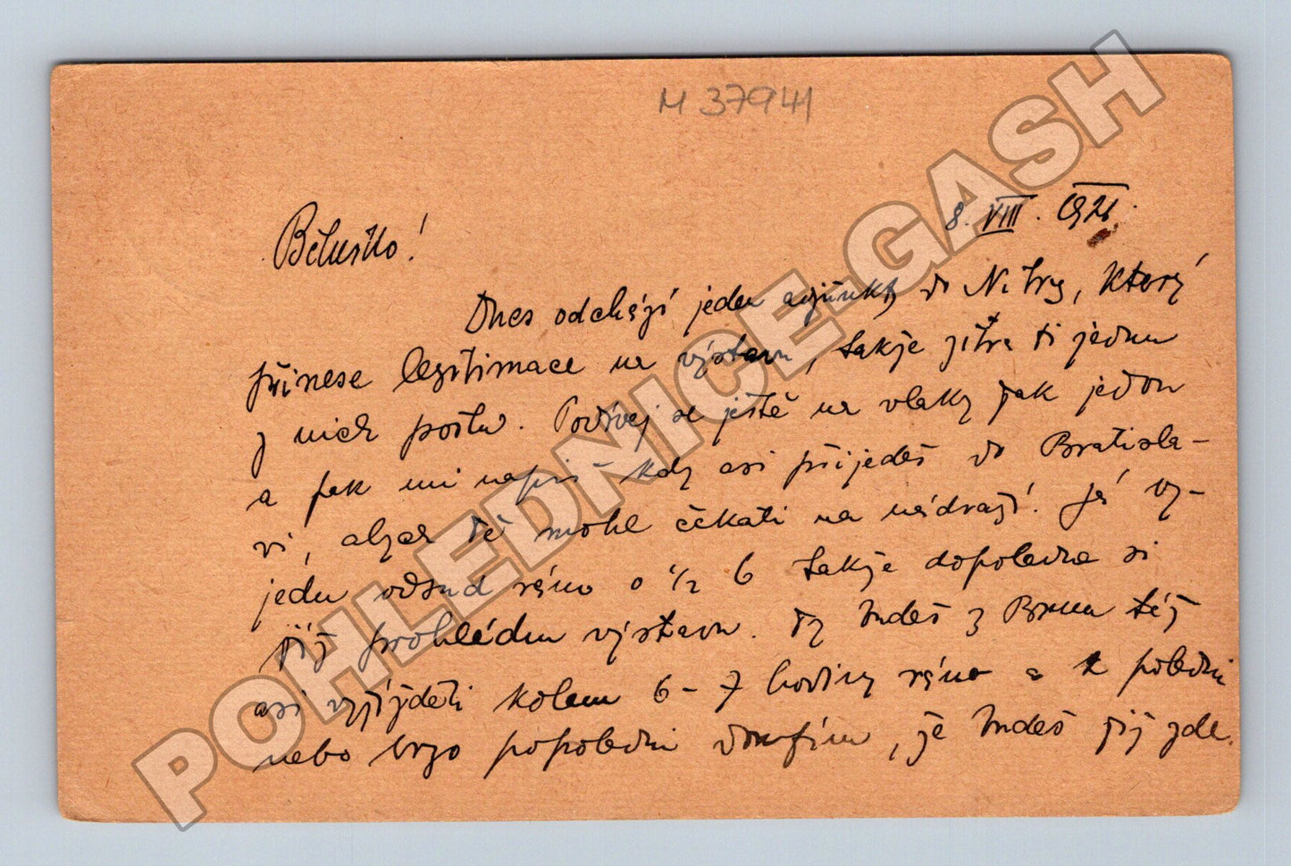 Pohlednice Brno výstava lidé 1939 (M37941)