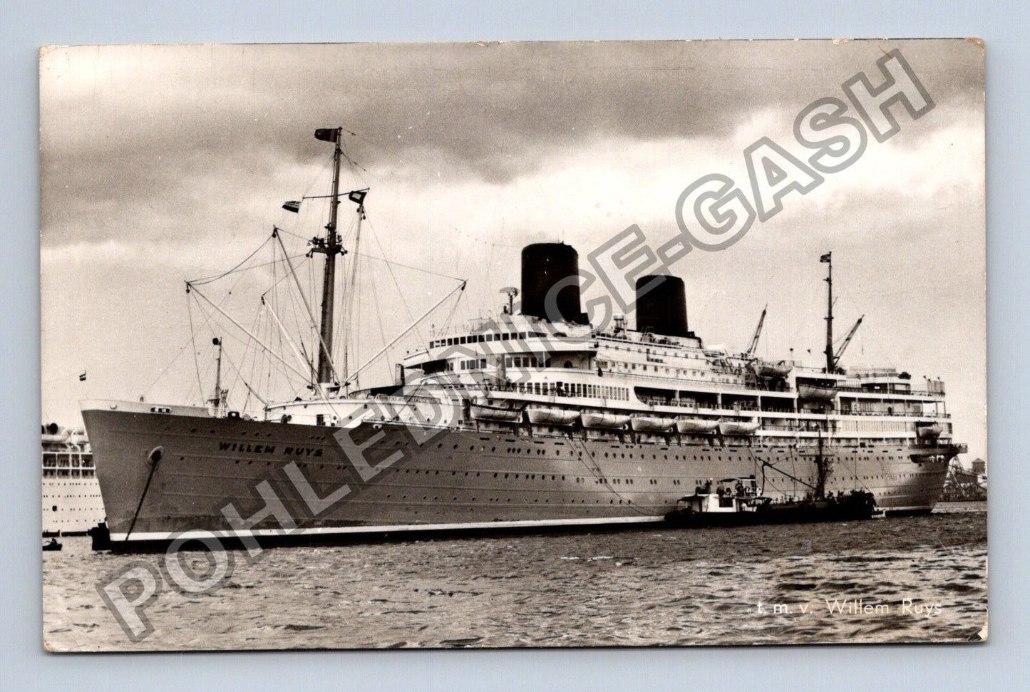 Pohlednice Holandsko parník Willem Ruys (M37955)