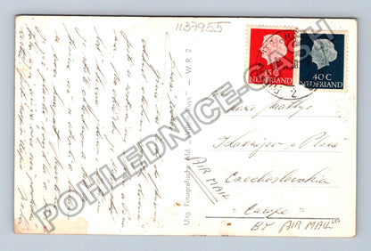 Pohlednice Holandsko parník Willem Ruys (M37955)