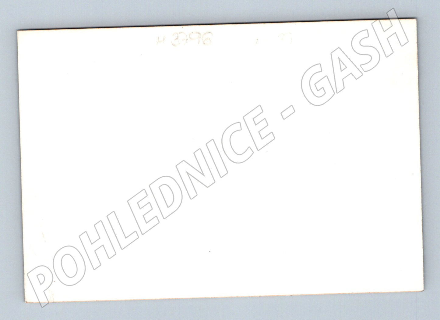 Pohlednice kočky v zahradě foto (M3796)