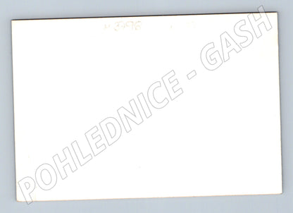 Pohlednice kočky v zahradě foto (M3796)