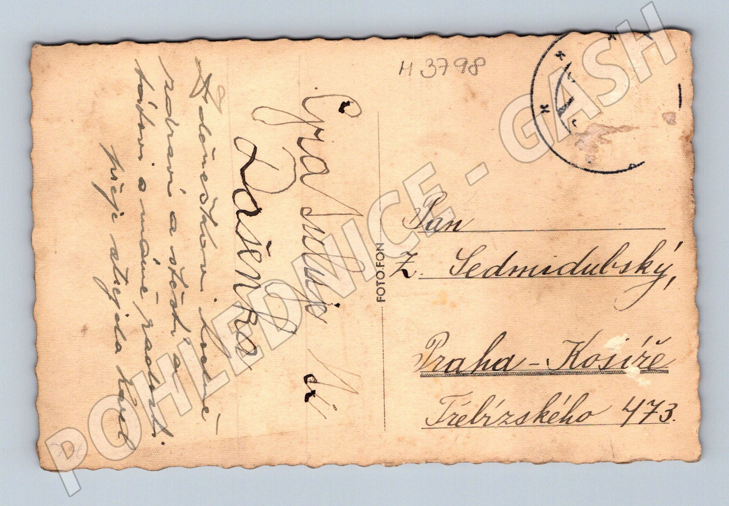 Pohlednice dvě koťata v košíku (M3798)