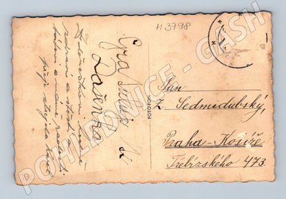 Pohlednice dvě koťata v košíku (M3798)