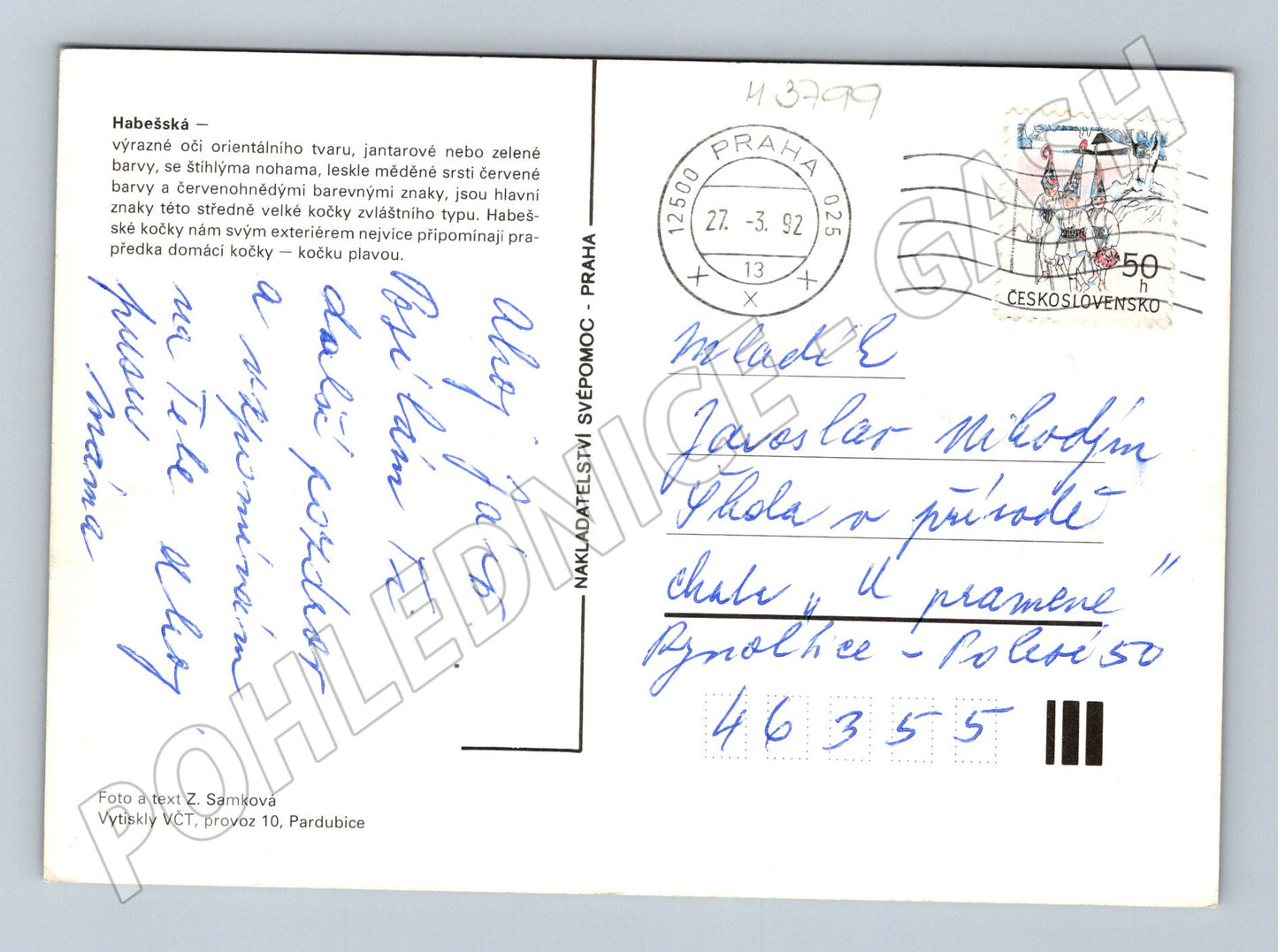Pohlednice habešská kočka ČSFR (M3799)