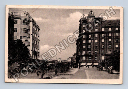 Pohlednice Plzeň ulice s budovami a palmami (M38016)