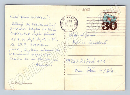 Pohlednice štěně s míčem – roztomilý motiv (M3803)