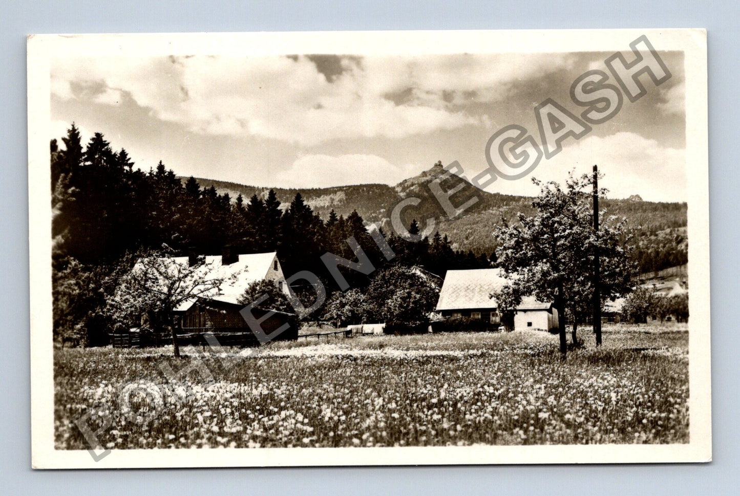 Pohlednice Ještěd 1010 m horská krajina chalupy (M38035)