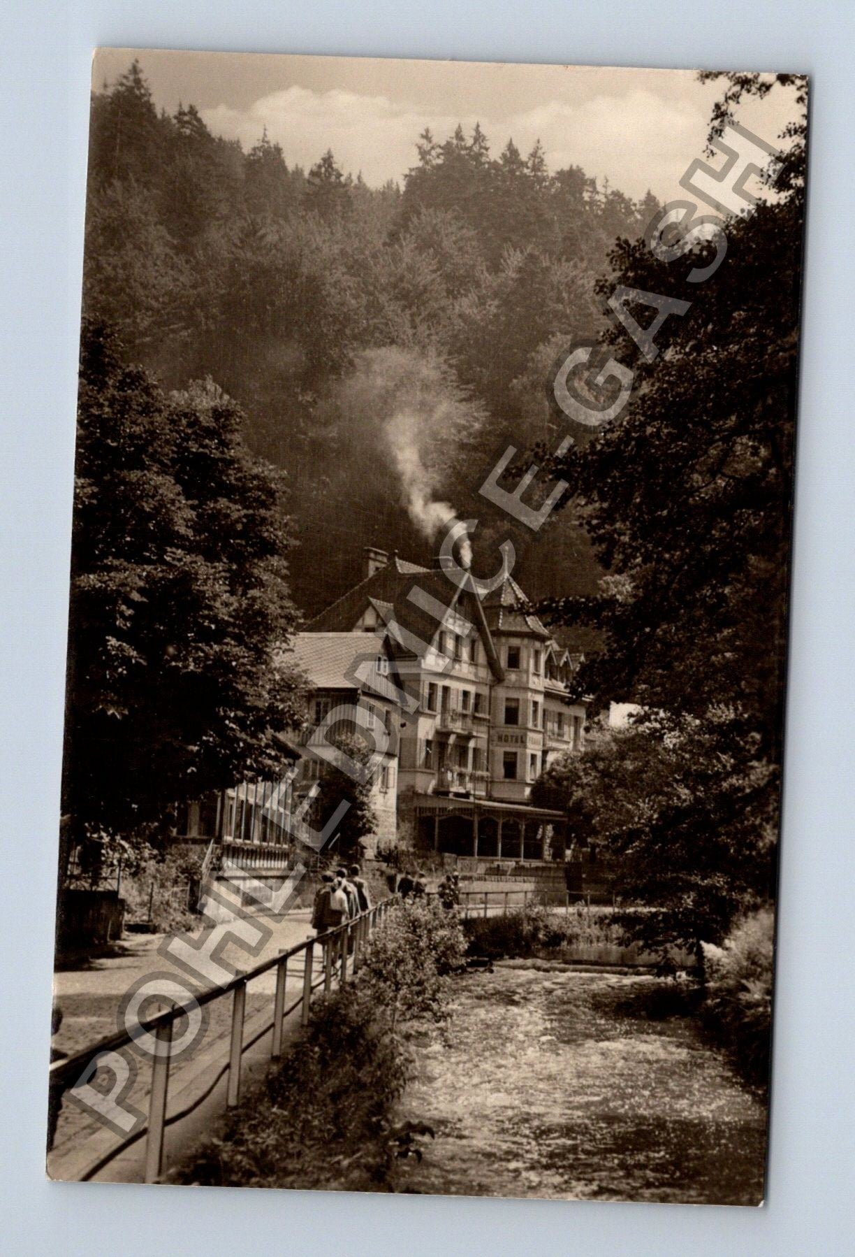 Pohlednice České Švýcarsko Hřensko hotel u řeky (M38037)