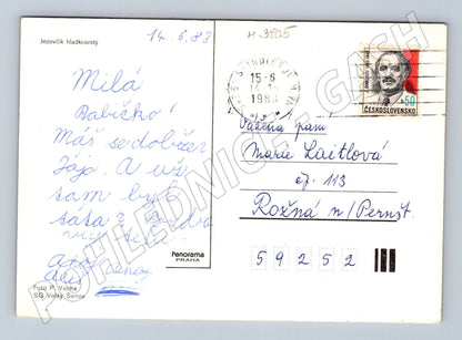 Pohlednice jezevčík hladkosrstý – portrét psa (M3805)