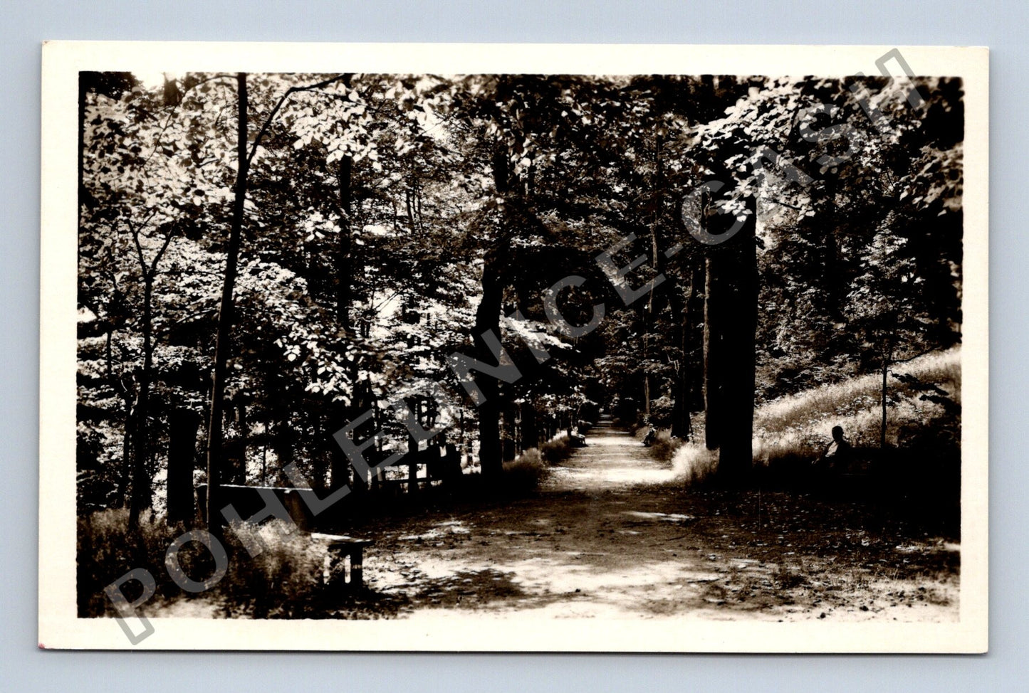 Pohlednice Lázně Libverda Jizerské hory park (M38051)