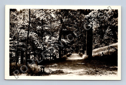 Pohlednice Lázně Libverda Jizerské hory park (M38051)