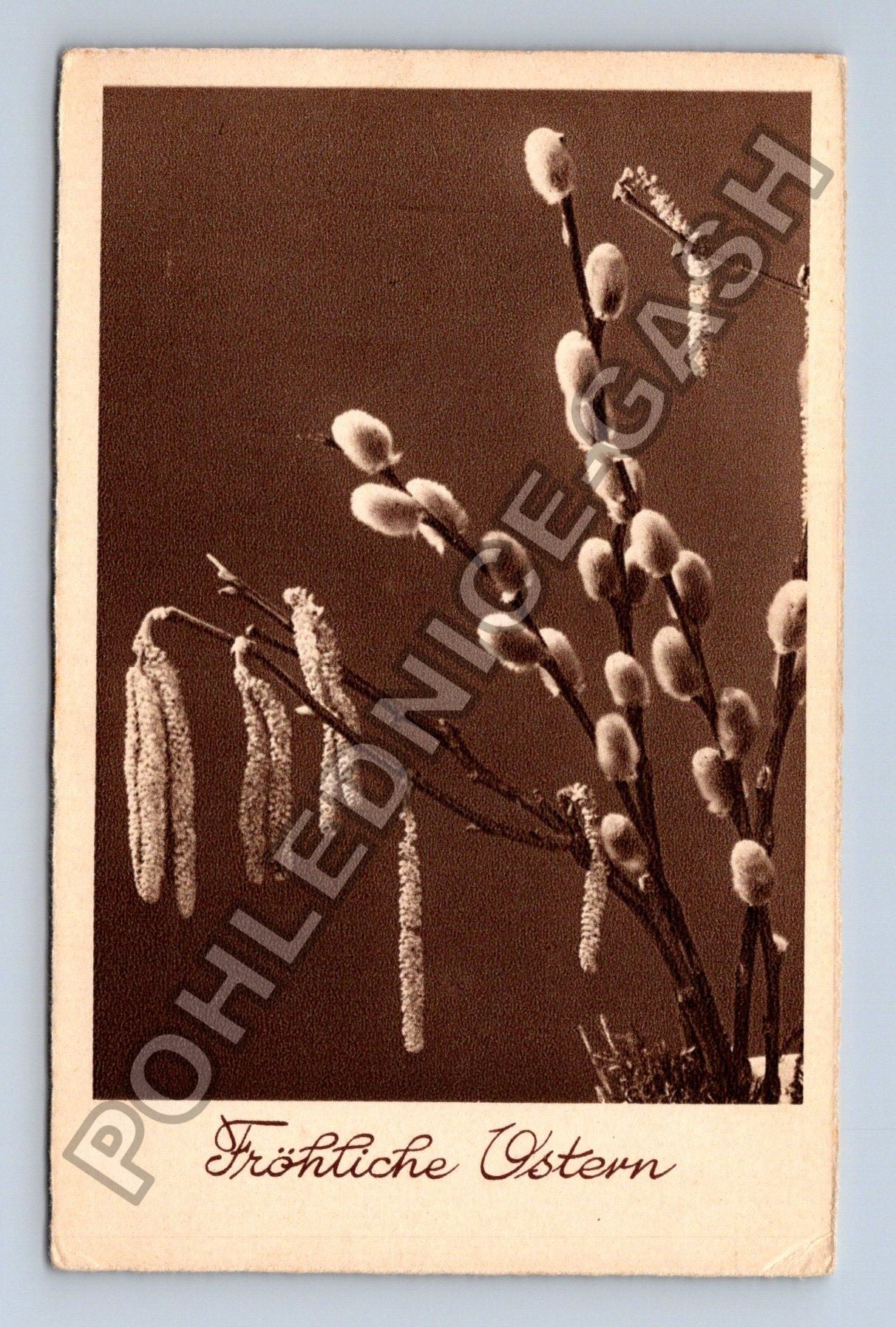 Pohlednice Fröhliche Ostern vrbové a lískové proutky (M38119)