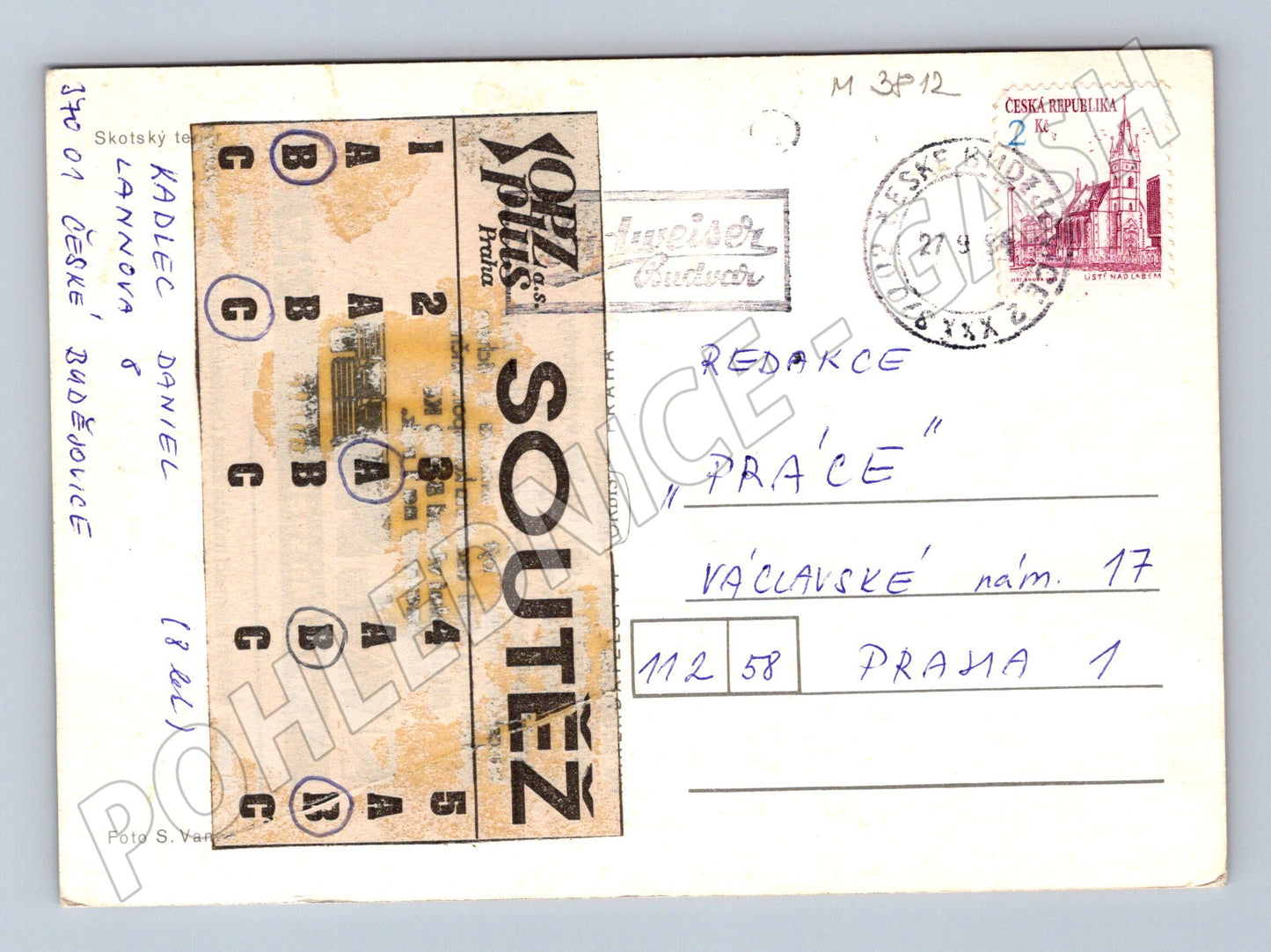 Pohlednice skotský teriér černý – portrét psa (M3812)