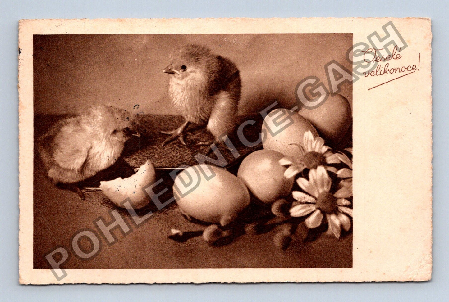 Pohlednice kuřátka vejce Velikonoce Bílina 1937 (M38123)