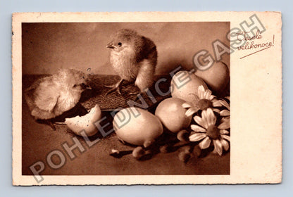 Pohlednice kuřátka vejce Velikonoce Bílina 1937 (M38123)