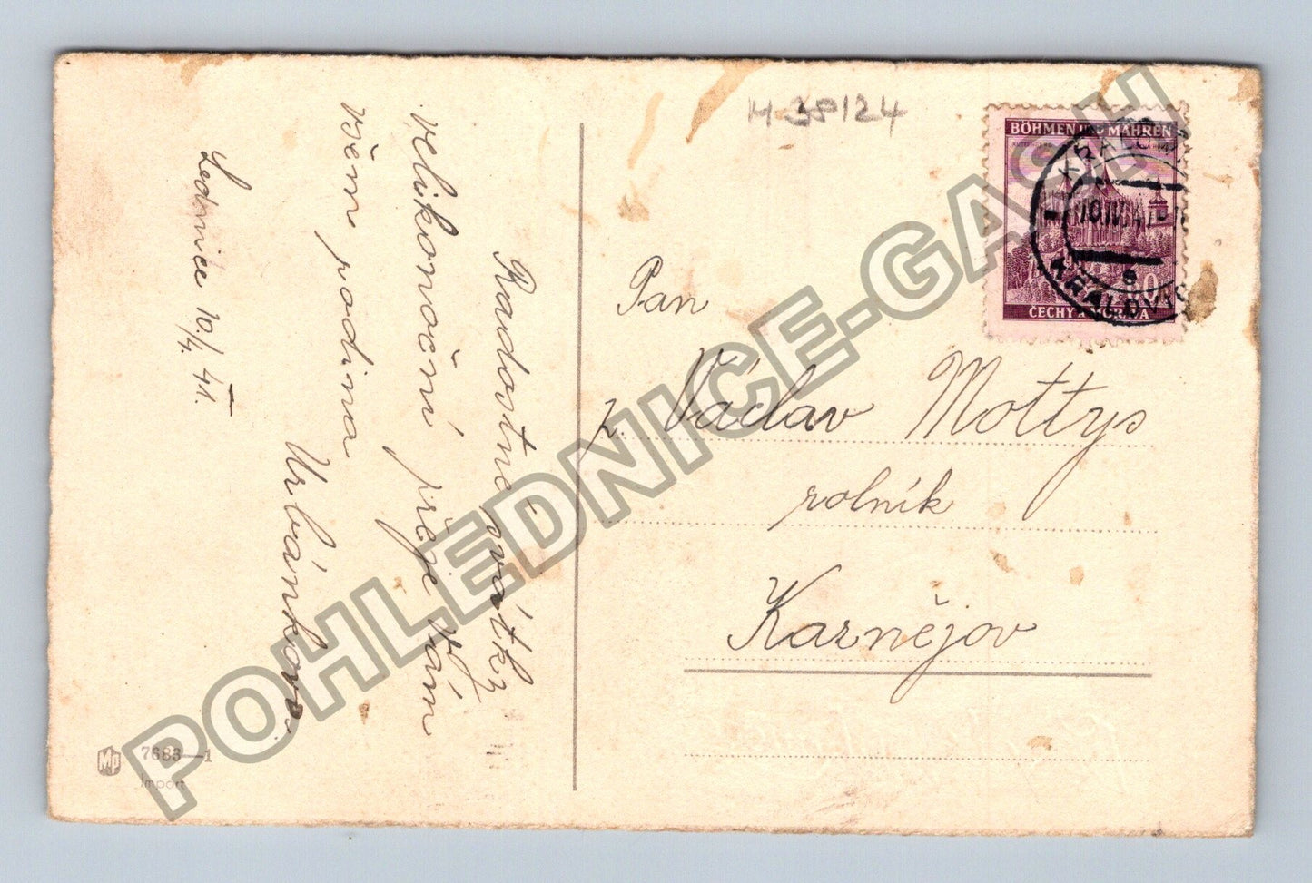 Pohlednice Velikonoce kuřátko v šálku vrbové kočičky (M38124)