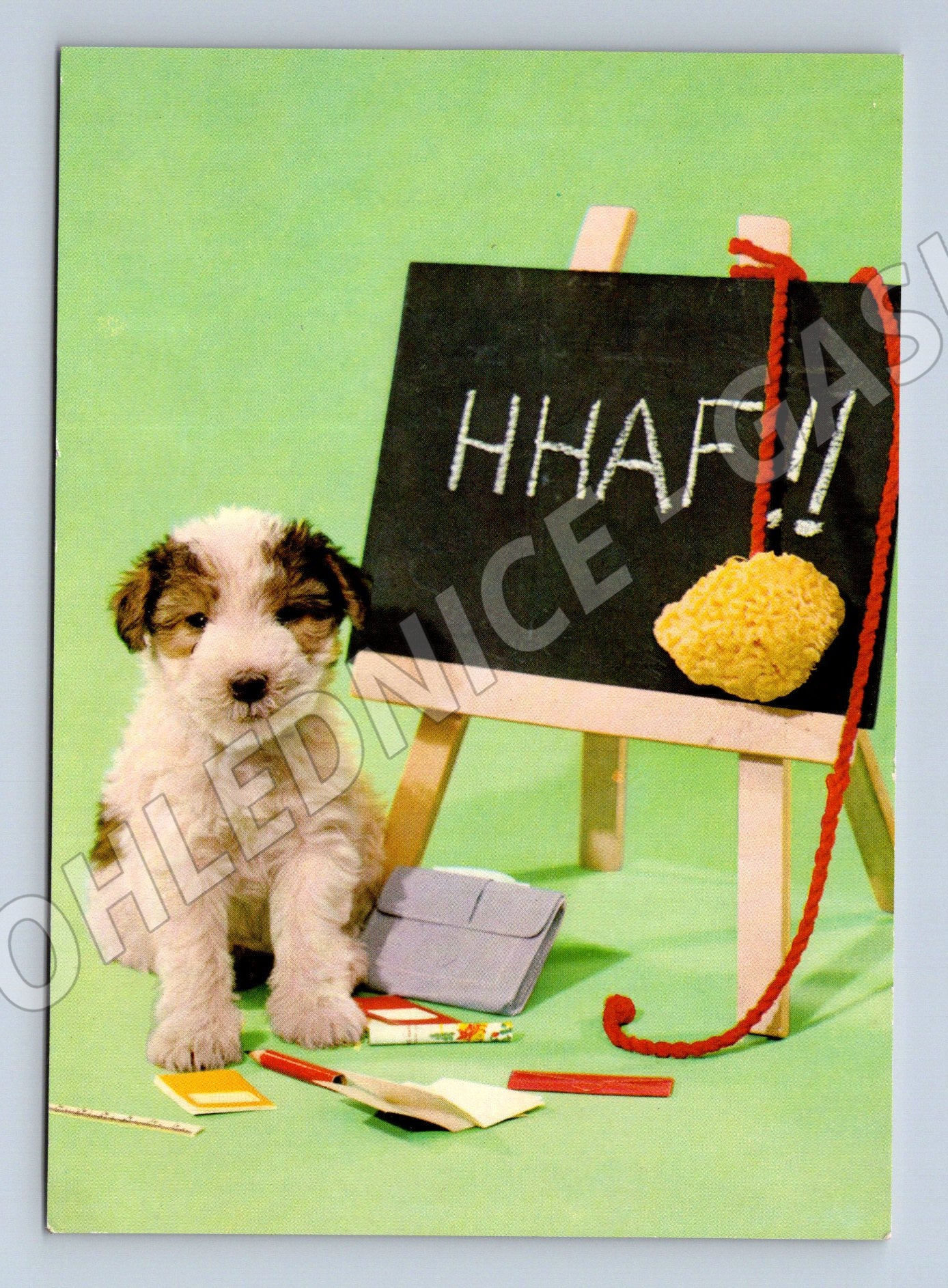 Pohlednice štěně u tabule HAF – retro motiv (M3813)