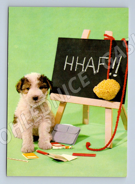 Pohlednice štěně u tabule HAF – retro motiv (M3813)