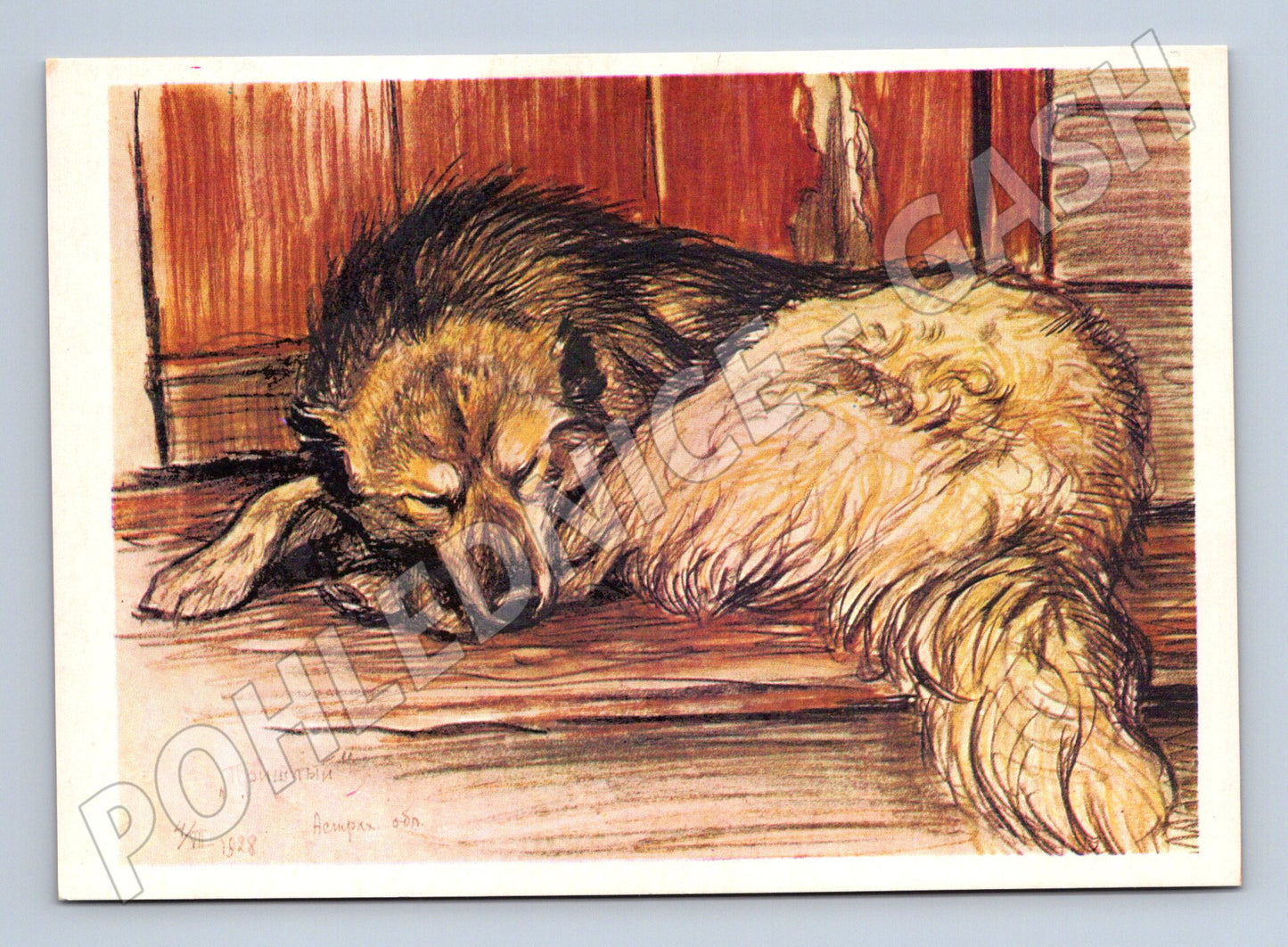 Pohlednice pes – umělecký motiv, Rusko (M3815)