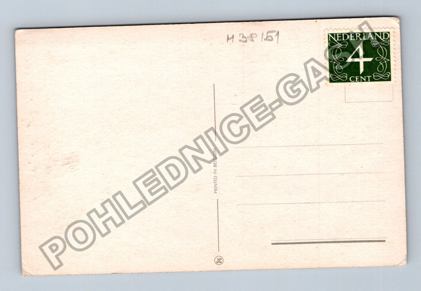 Pohlednice Holandsko macešky květiny (M38151)