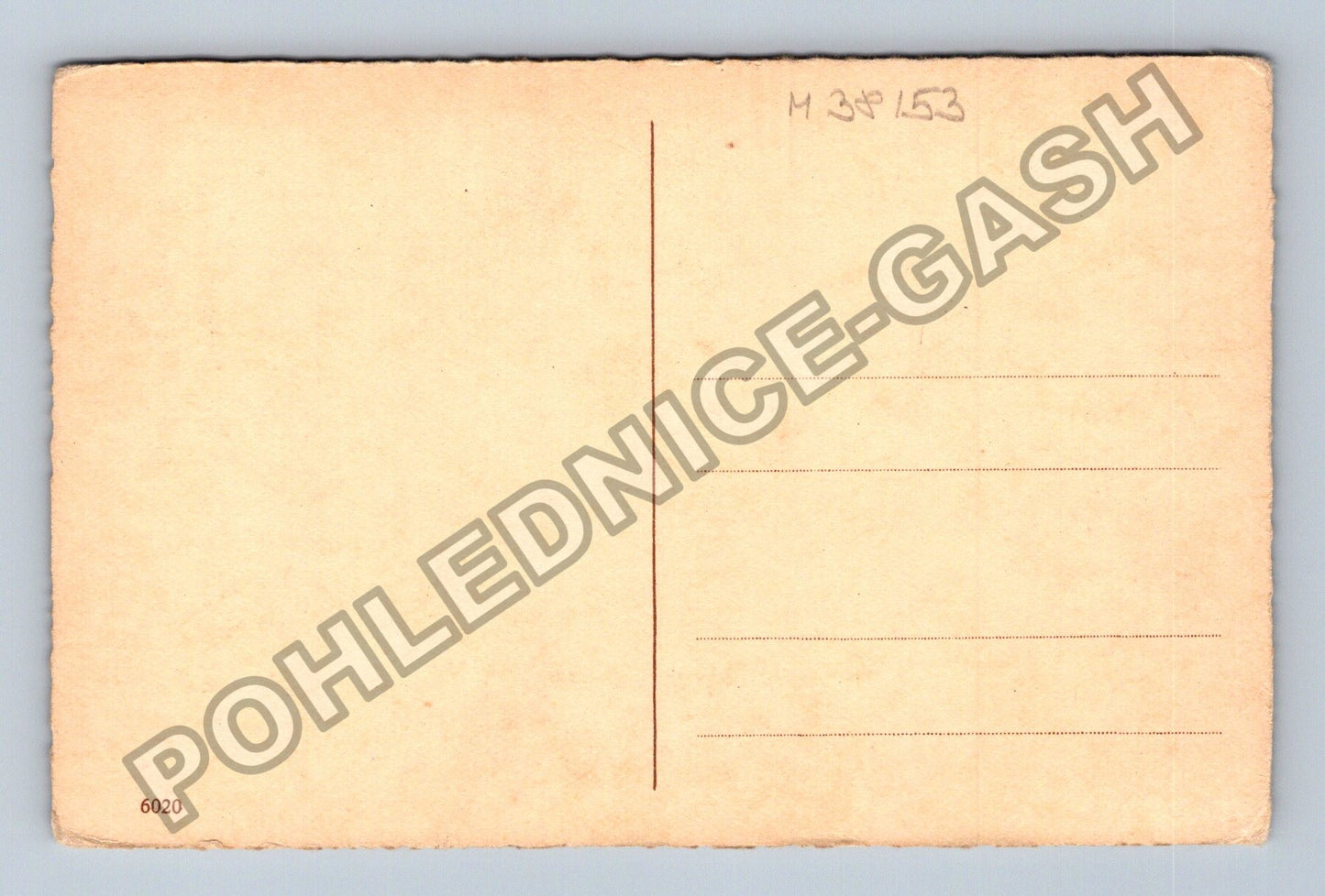 Pohlednice Květiny karafiáty Herzliche Glückwünsche zum (M38153)