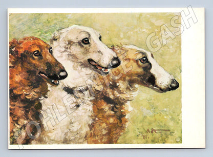 Pohlednice barzojové – ilustrace A. Komarov (M3816)