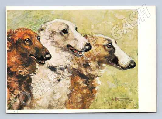 Pohlednice barzojové – ilustrace A. Komarov (M3816)