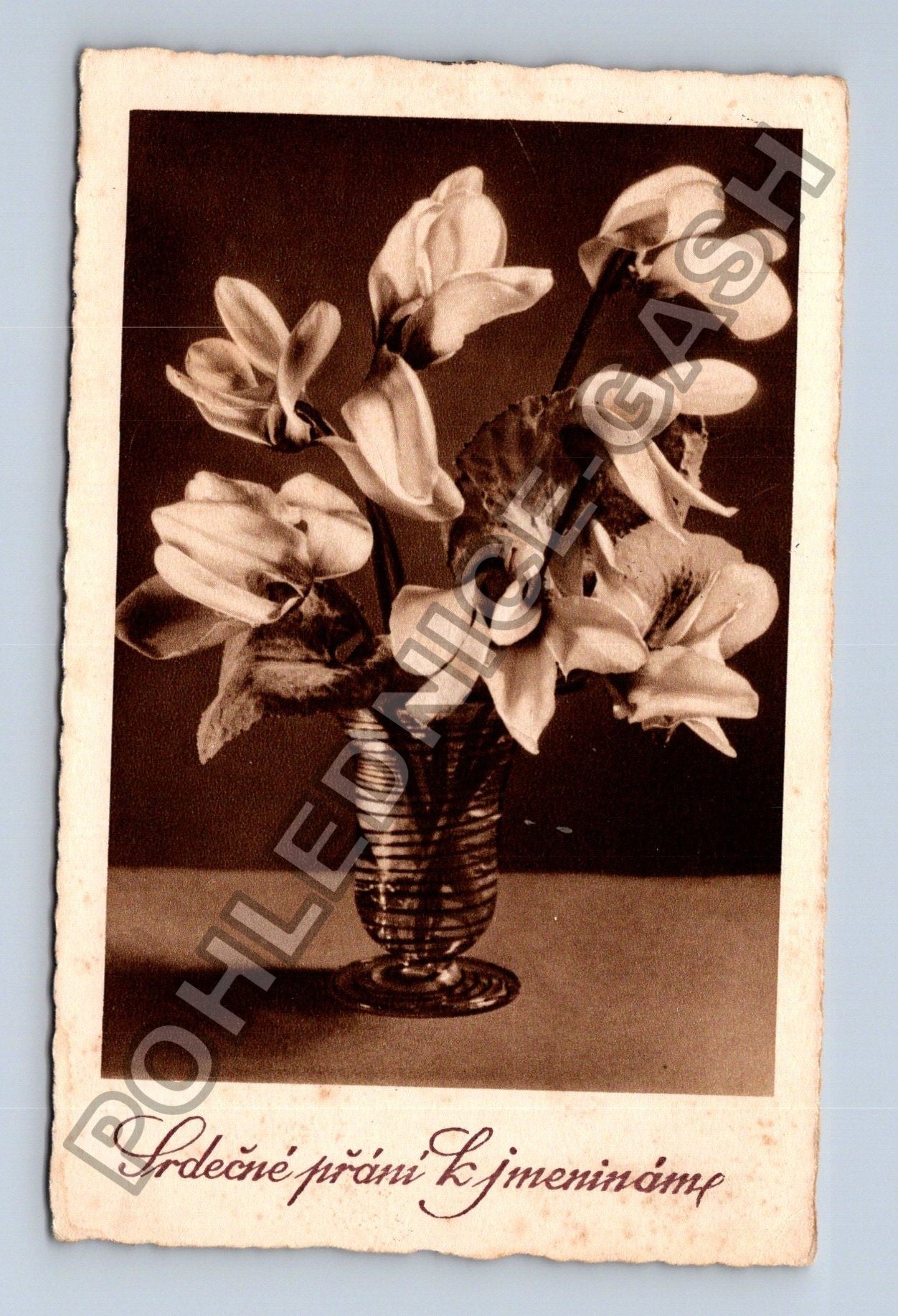 Pohlednice Srdečné přání k jmeninám květiny 1935 (M38160)