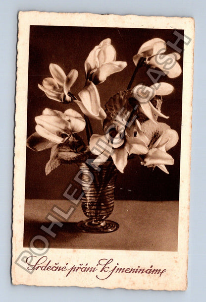 Pohlednice Srdečné přání k jmeninám květiny 1935 (M38160)