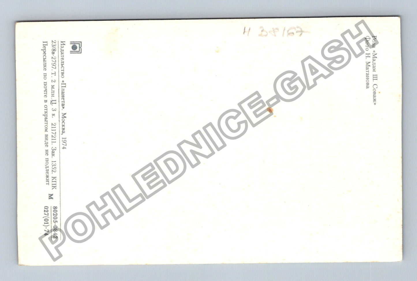 Pohlednice Rusko Růže Madam III. Соваж 1974 (M38167)