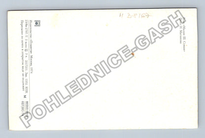 Pohlednice Rusko Růže Madam III. Соваж 1974 (M38167)