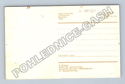 Pohlednice Rusko SSSR kytice hyacinty 1969 (M38169)