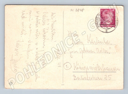 Pohlednice pes špic – starší motiv (M3818)