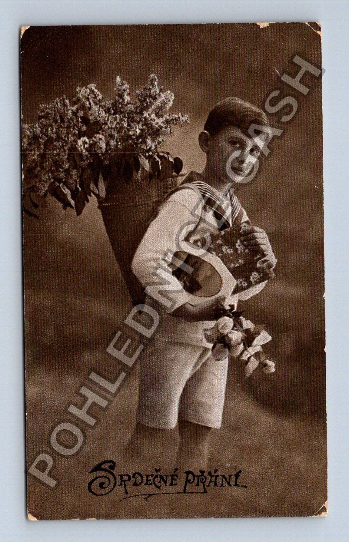 Pohlednice Chlapec s květinami Srdečné přání 1927 (M38182)