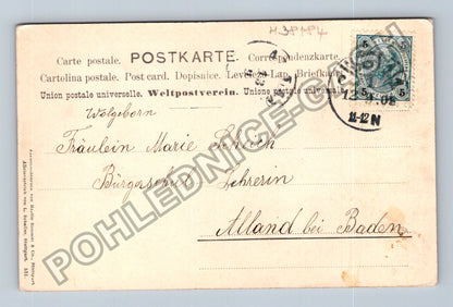Pohlednice Německo Květiny hořce 1908 (M38184)