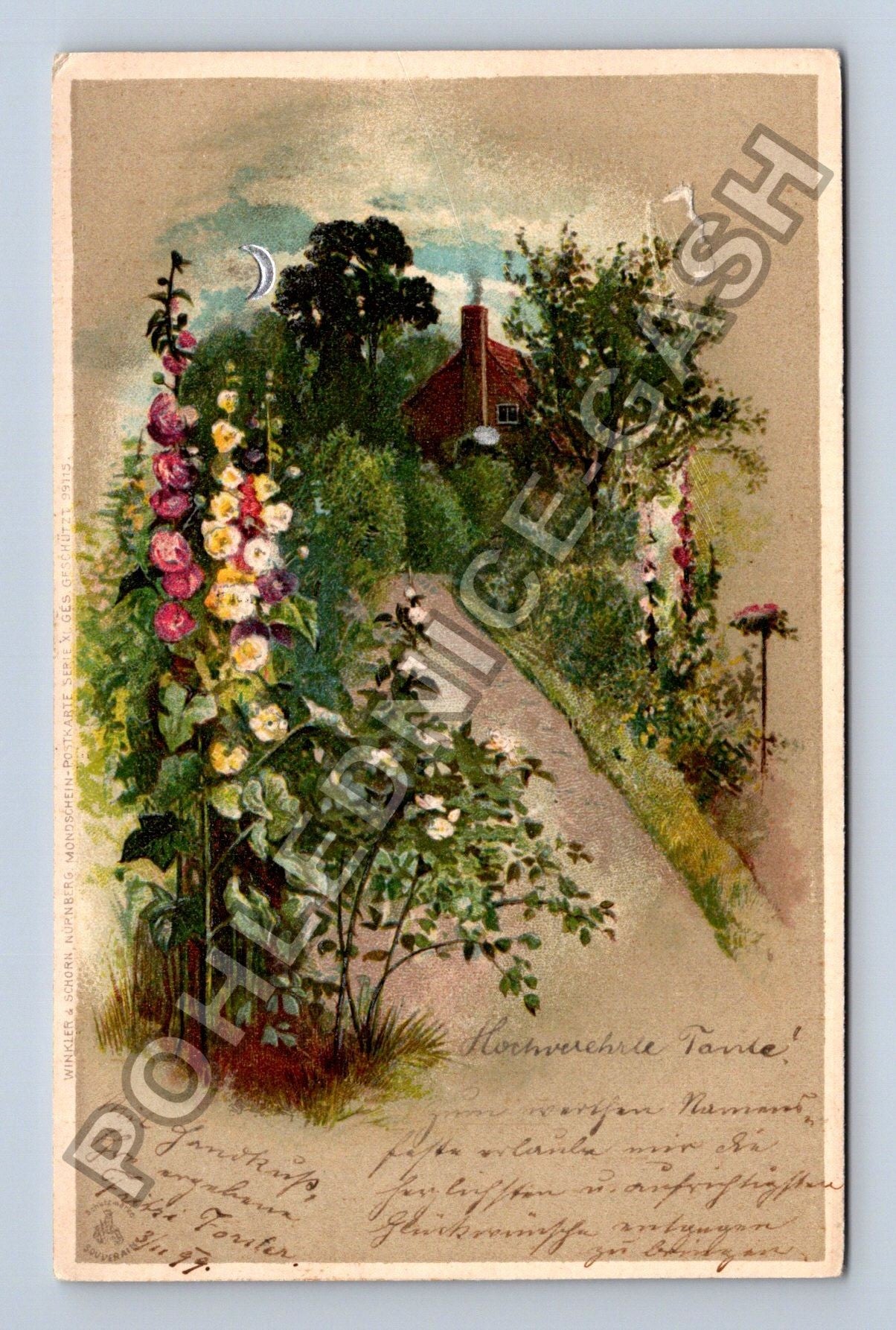 Pohlednice Rakousko květiny dům venkov 1909 (M38187)