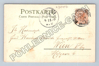 Pohlednice Rakousko květiny dům venkov 1909 (M38187)